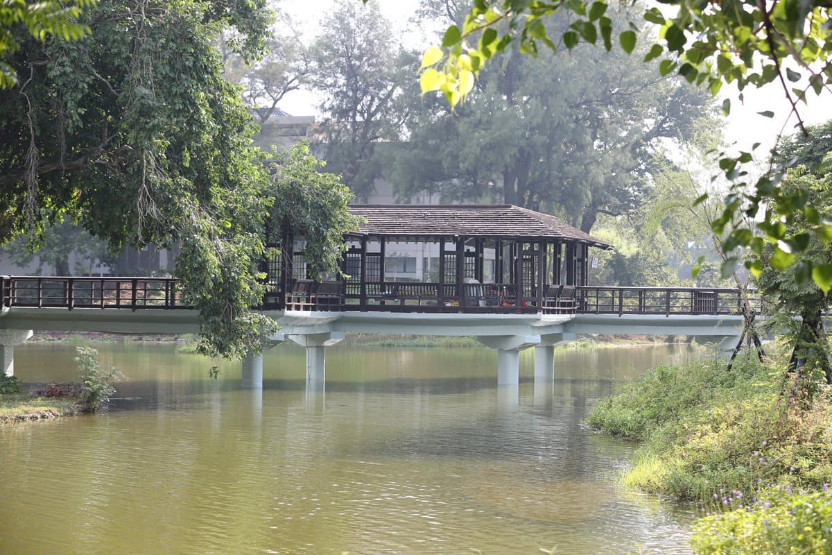濃濃日式風情!新竹百年公園重新開放,必拍「日式水池園林」與「櫻花大道」 濃濃日式風情!新竹百年公園重新開放,必拍「日式水池園林」與「櫻花大道」