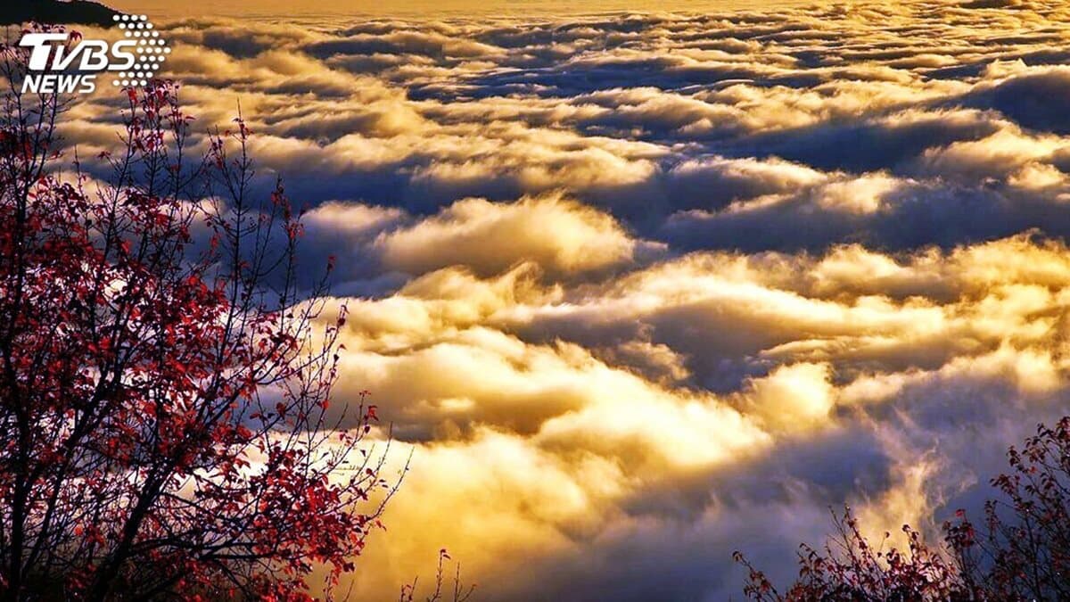 秋冬限定世界級美景！遊樂區賞「棉花雲海」門票半價，還可免費DIY