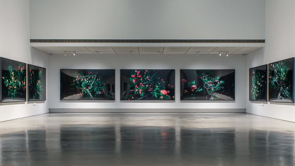 開啟文青魂! 全台5家博物館「免費」看展,就在「台灣文化日」這一天 開啟文青魂! 全台5家博物館「免費」看展,就在「台灣文化日」這一天