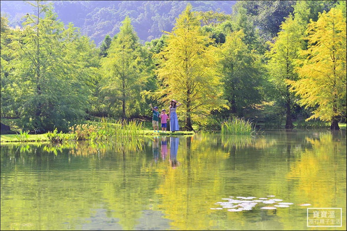 浪漫破表！「七彩落羽松秘境」住一晚   玩恆溫漂漂河