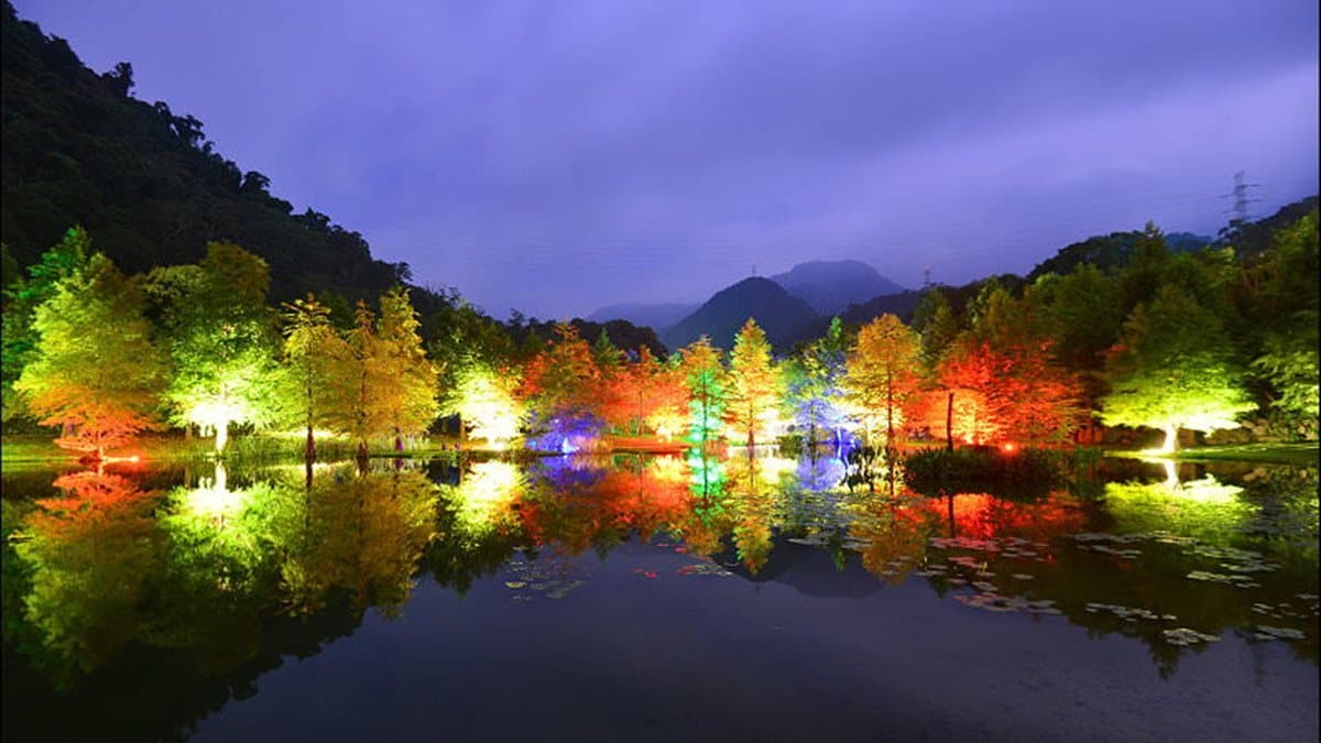 浪漫破表！「七彩落羽松秘境」住一晚   玩恆溫漂漂河