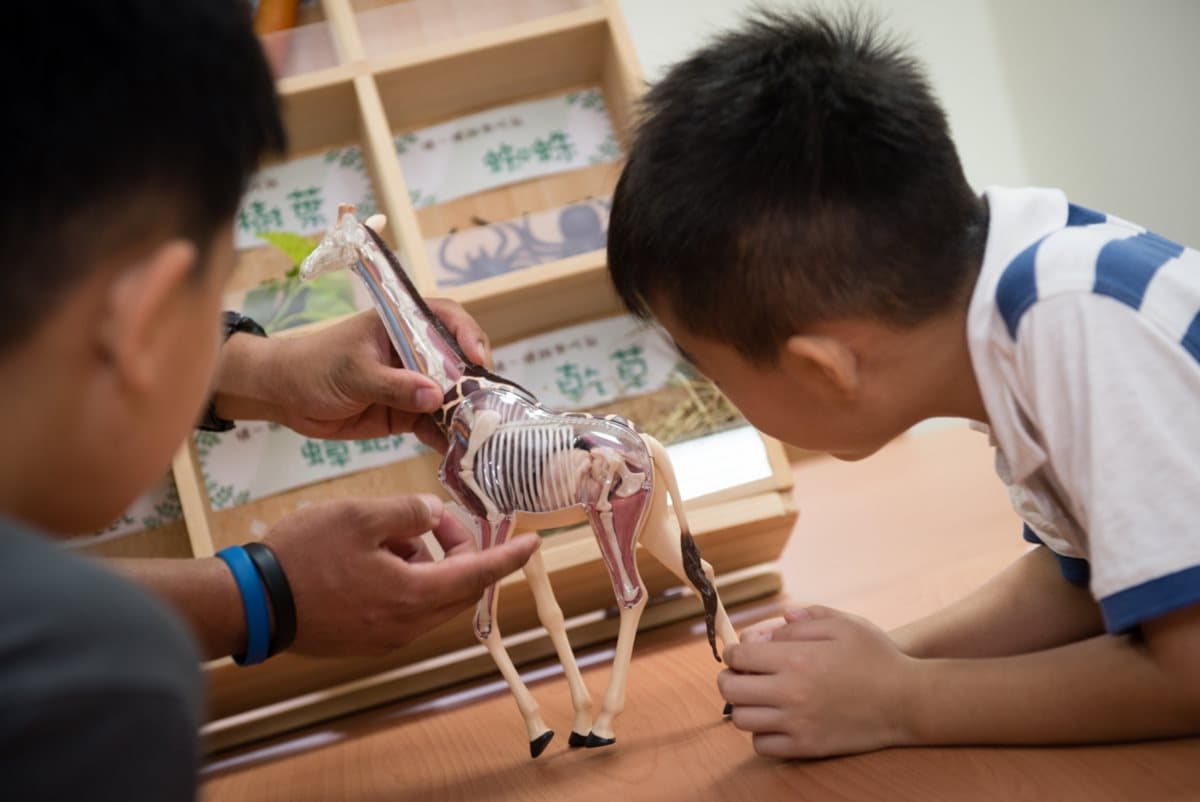 228遛小孩！全台18間超好玩親子旅店，小火車、VR、雷射迷宮玩一天也不膩