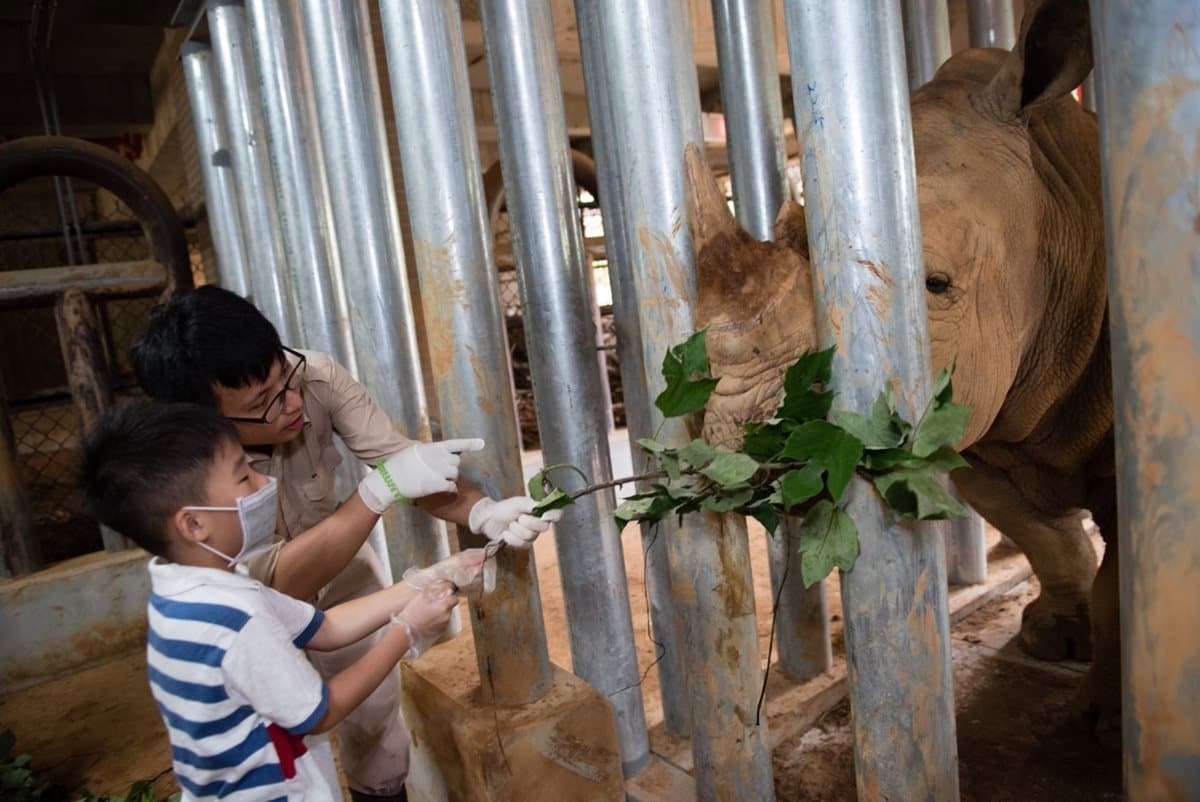 動物園住一晚!化身「小小動保員」近距離接觸「長頸鹿」,入住「免費升級房型」 動物園住一晚!化身「小小動保員」近距離接觸「長頸鹿」,入住「免費升級房型」