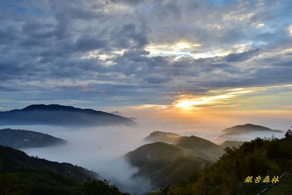 秋天必拍美景！全台最大銀杏森林+順遊5亮點：竹林雙瀑、網友激推甕缸雞