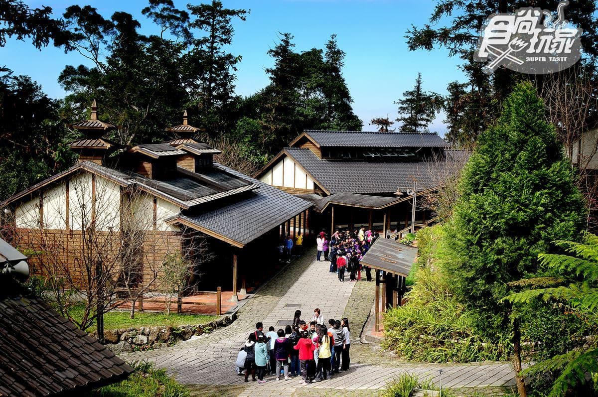 秋天必拍美景！全台最大銀杏森林+順遊5亮點：竹林雙瀑、網友激推甕缸雞