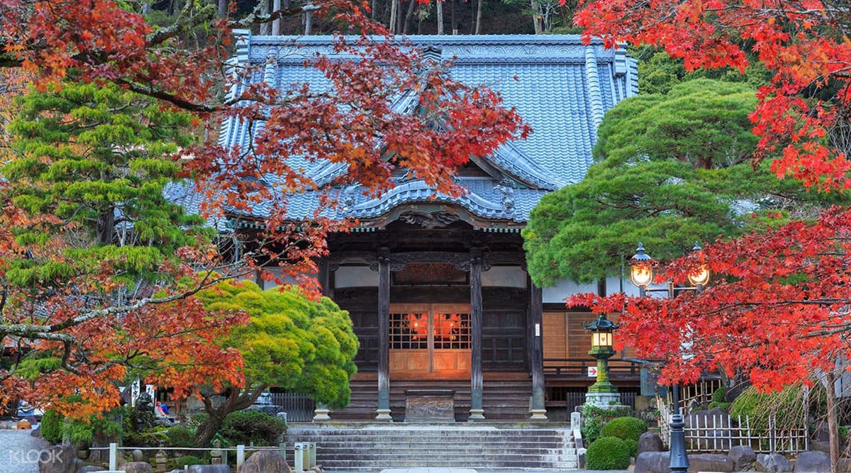 該訂機票了！台灣人最愛日韓「5大最佳賞楓點」，奈良看紅葉邊拍小鹿斑比