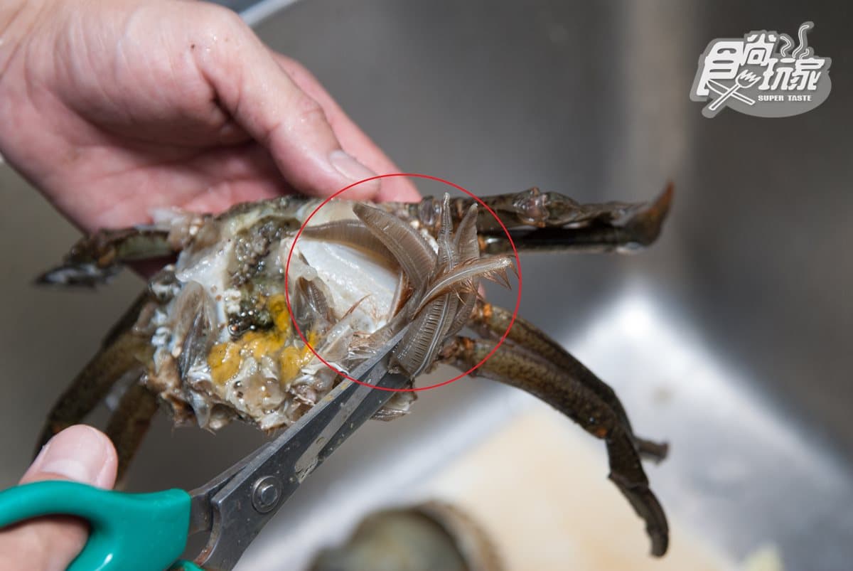 秋蟹正肥美！怎麼挑？不能和柿子一起吃？你一定要知道的7個螃蟹冷知識