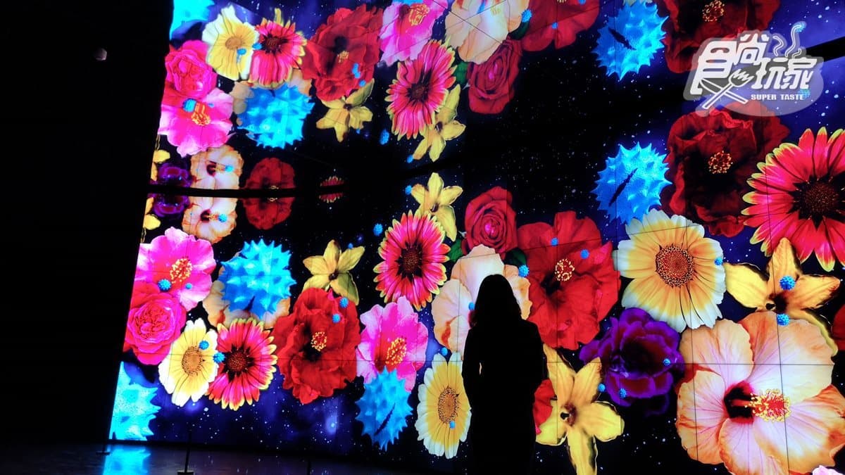 2018台中花博超美亮點曝光    3大展區必拍「IG夢幻景點」