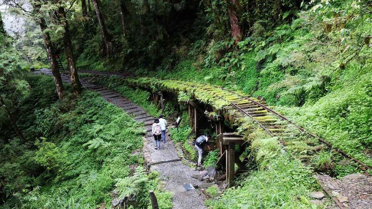 【春節醬玩】全台10大美拍祕境:台版嵐山、龍貓森林、藍眼淚湧泉超夢幻 【春節醬玩】全台10大美拍祕境:台版嵐山、龍貓森林、藍眼淚湧泉超夢幻