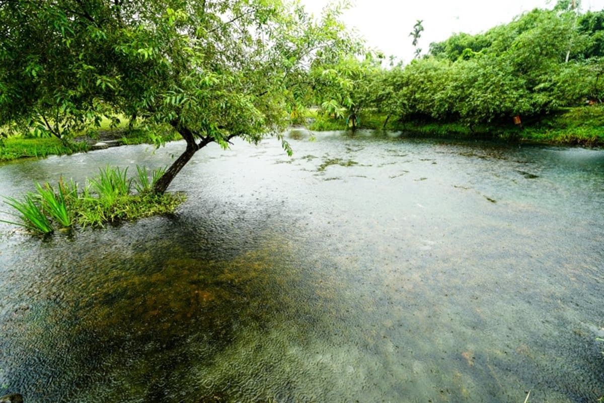【春節醬玩】全台10大美拍祕境:台版嵐山、龍貓森林、藍眼淚湧泉超夢幻 【春節醬玩】全台10大美拍祕境:台版嵐山、龍貓森林、藍眼淚湧泉超夢幻
