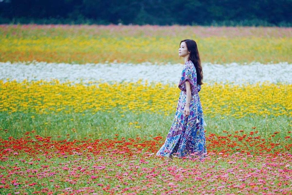 IG最愛!全台6大冬季美拍花海:關渡波斯菊、楊梅粉紫仙草、新社蕎麥花 IG最愛!全台6大冬季美拍花海:關渡波斯菊、楊梅粉紫仙草、新社蕎麥花