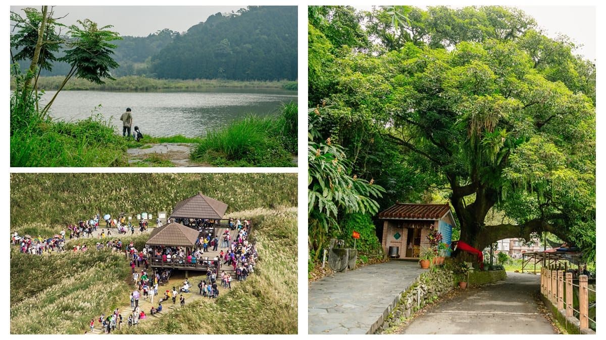 國旅補助玩宜蘭!賞芒花海、走「細姨路」秋遊6大景點 國旅補助玩宜蘭!賞芒花海、走「細姨路」秋遊6大景點