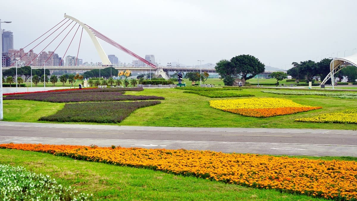 IG最愛!全台6大冬季美拍花海:關渡波斯菊、楊梅粉紫仙草、新社蕎麥花 IG最愛!全台6大冬季美拍花海:關渡波斯菊、楊梅粉紫仙草、新社蕎麥花