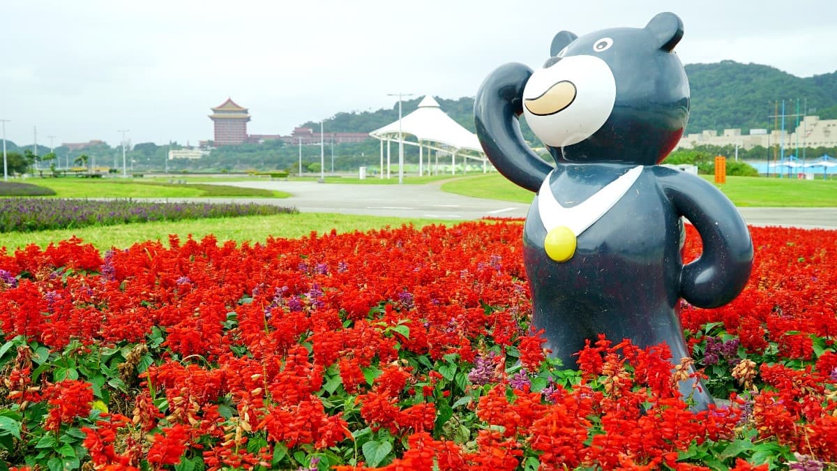 IG最愛!全台6大冬季美拍花海:關渡波斯菊、楊梅粉紫仙草、新社蕎麥花 IG最愛!全台6大冬季美拍花海:關渡波斯菊、楊梅粉紫仙草、新社蕎麥花