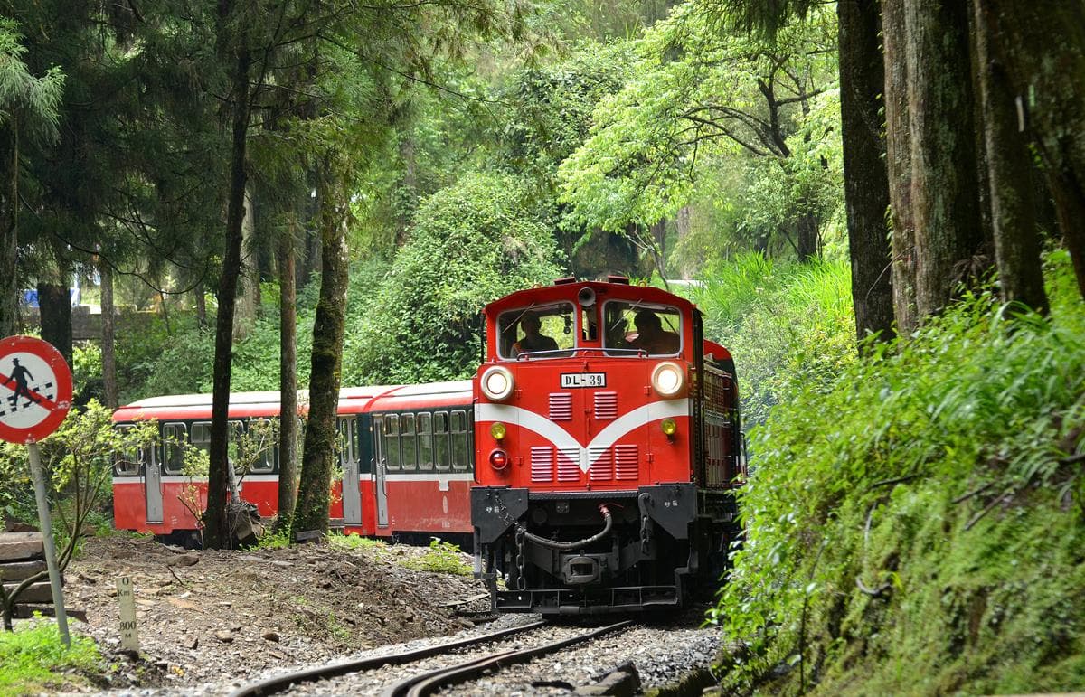 鐵道迷請準備！超復古「阿里山蒸汽火車」明年1月行駛