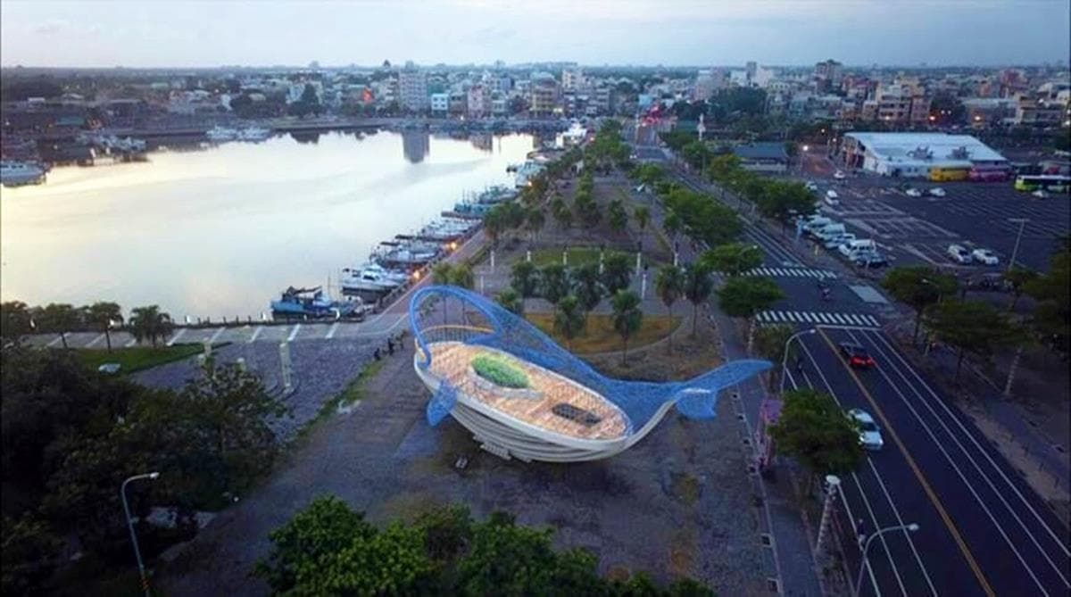 打卡新地標！台南巨型「大鯨魚」遊進運河，遊船12月半價優惠