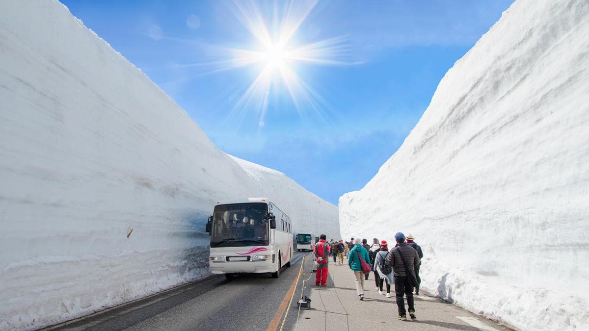 天天飛17米大雪牆「立山黑部」！長榮航空增班，還可順遊絕美「合掌村」