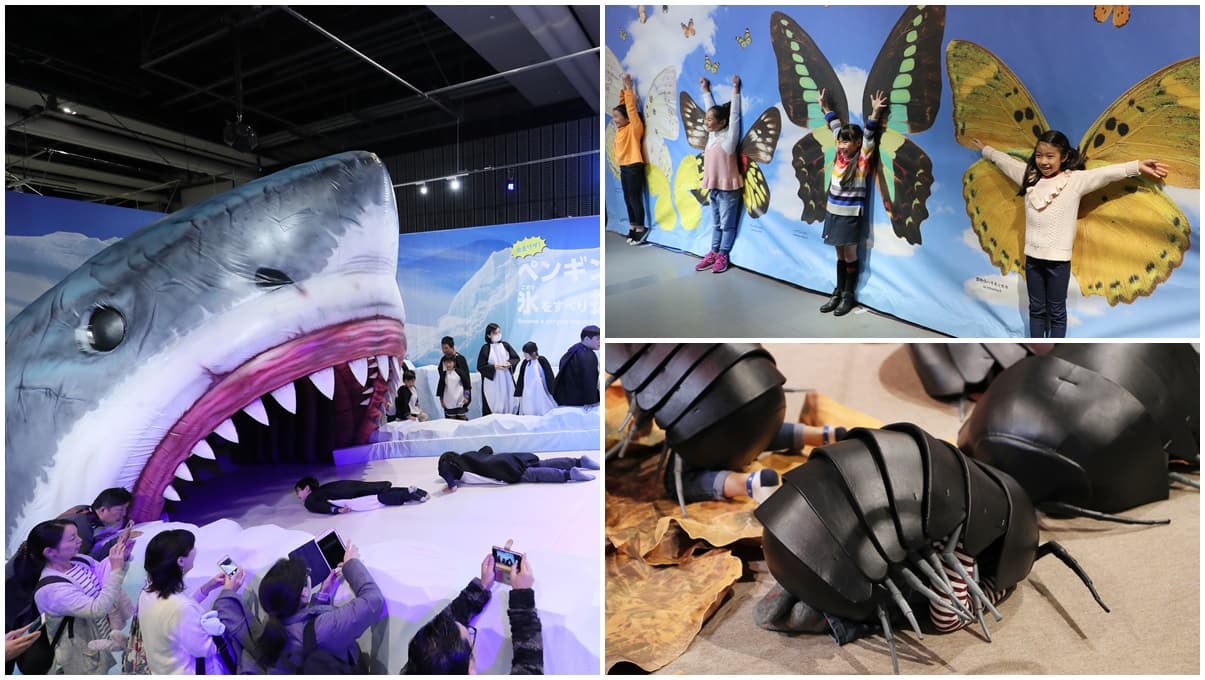 小孩會玩瘋！日本超夯「變變變！生物體驗展」4大遊戲區+10種變身動物