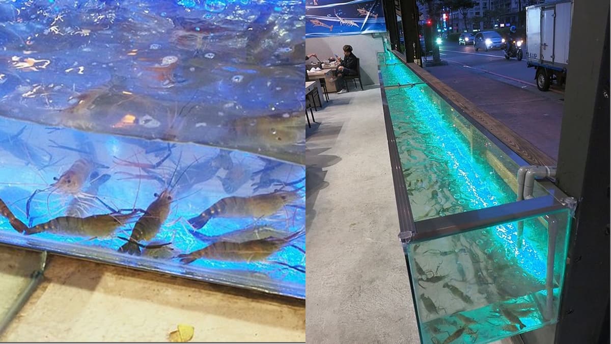 痛風無極限！全台10間「最蝦料理」，火鍋、燒烤、麵線通通有