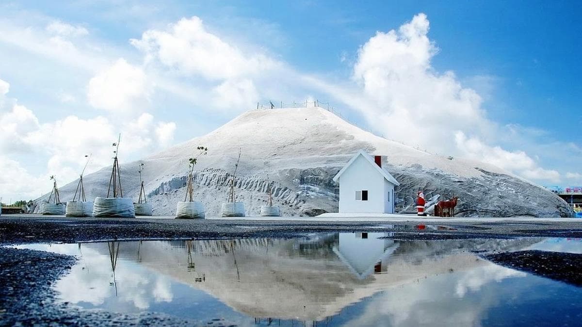 最萌新打卡點！6.3公尺「萌萌巨鹿」現身雪白鹽山