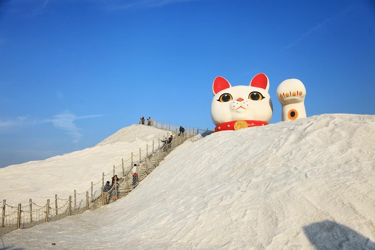 最萌新打卡點！6.3公尺「萌萌巨鹿」現身雪白鹽山
