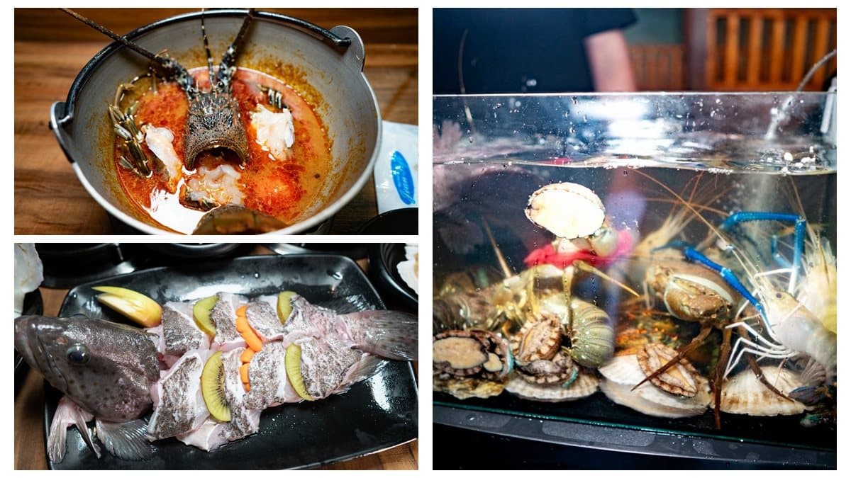 【新開店】點活海鮮送上水族箱!這家鍋物1次吃10款太痛風 【新開店】點活海鮮送上水族箱!這家鍋物1次吃10款太痛風