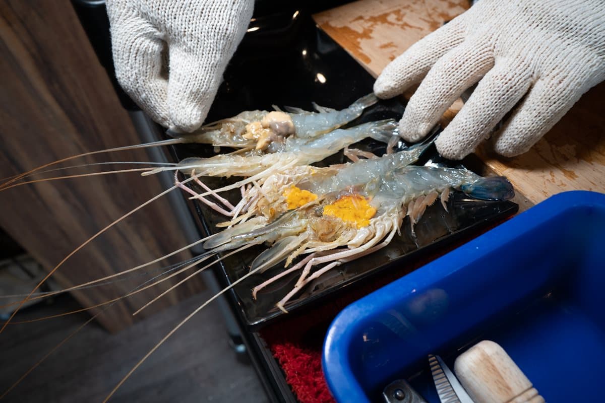【新開店】點活海鮮送上水族箱!這家鍋物1次吃10款太痛風 【新開店】點活海鮮送上水族箱!這家鍋物1次吃10款太痛風