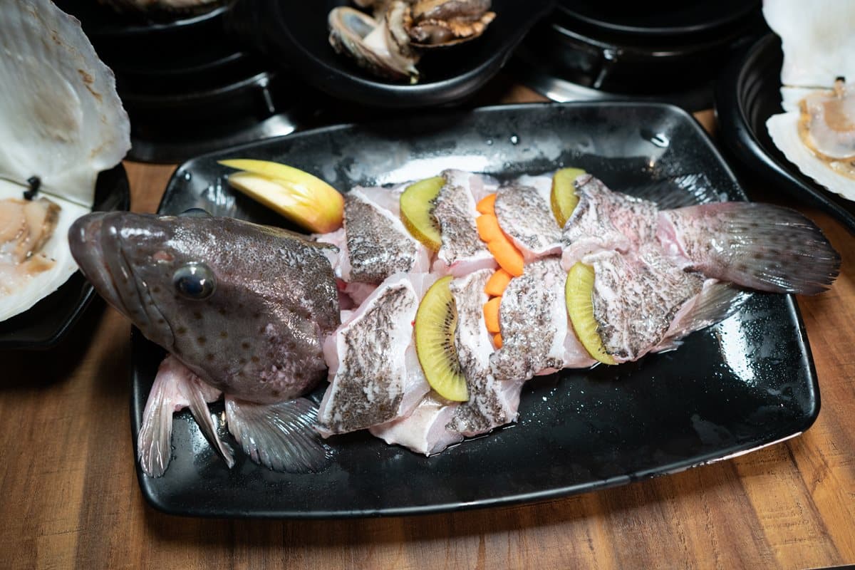 【新開店】點活海鮮送上水族箱!這家鍋物1次吃10款太痛風 【新開店】點活海鮮送上水族箱!這家鍋物1次吃10款太痛風