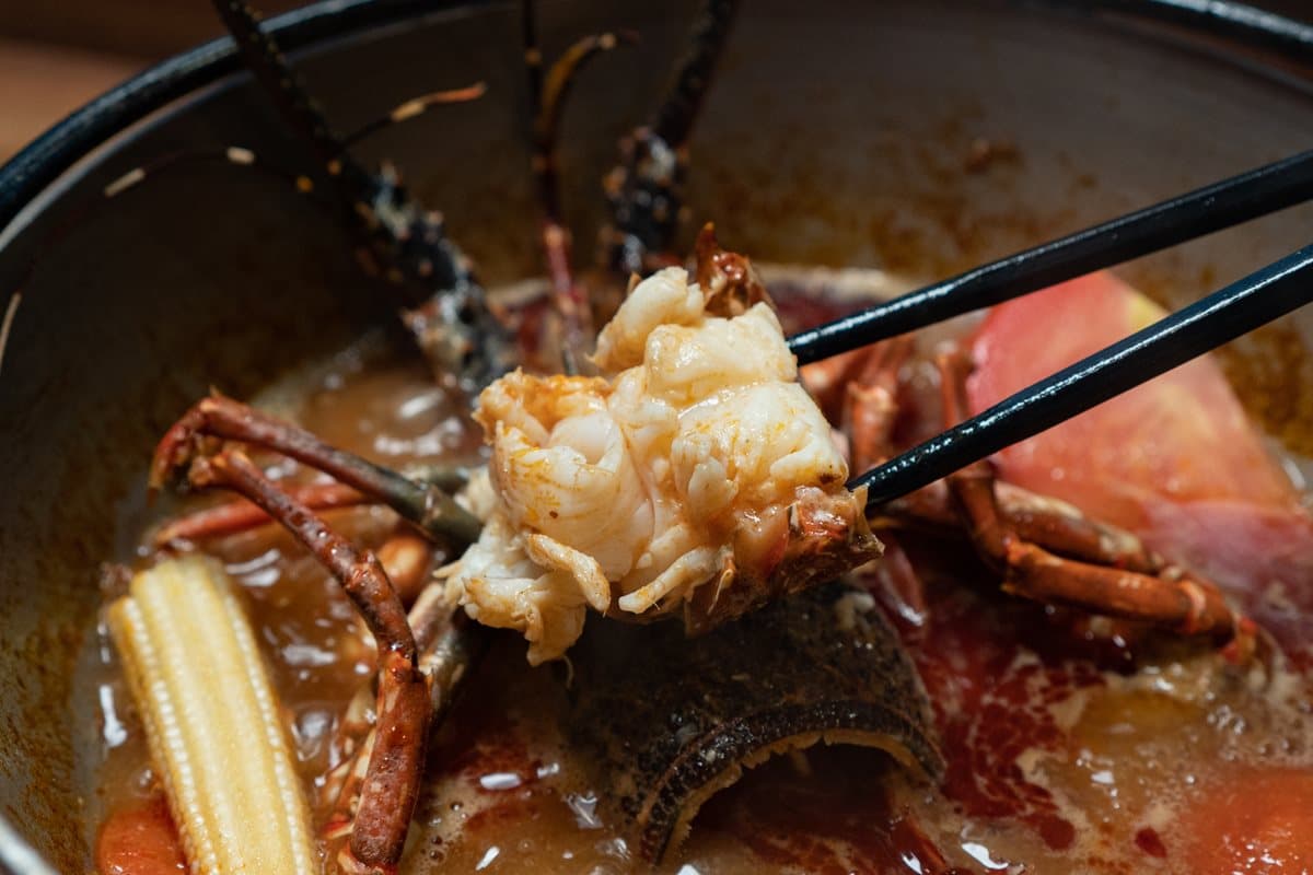 【新開店】點活海鮮送上水族箱!這家鍋物1次吃10款太痛風 【新開店】點活海鮮送上水族箱!這家鍋物1次吃10款太痛風