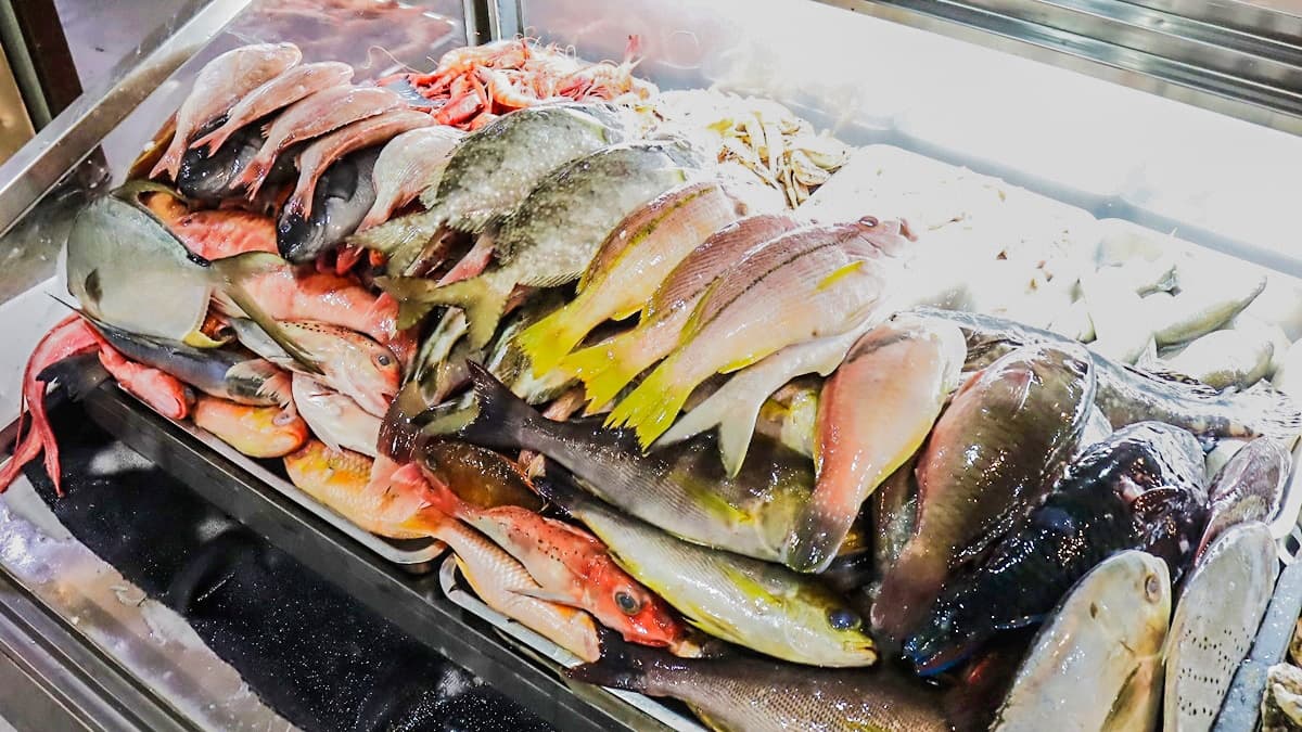 好像逛魚市場！550元海魚吃到飽  超多海鮮烤到爽