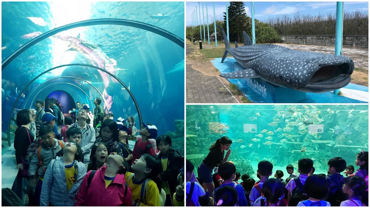 3000有找！玩澎湖住五星「3天2夜」食宿、自駕、水族館門票全包