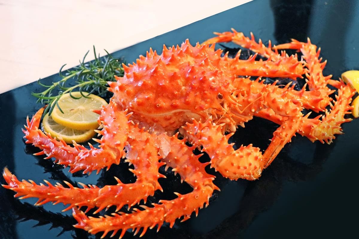 限時3個月！最狂吃到飽「波士頓龍蝦、鮑魚、螃蟹」現流海鮮也無限供應