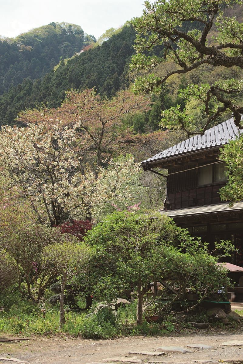 東京居然這麼美!必訪這3家「森林咖啡館」 東京居然這麼美!必訪這3家「森林咖啡館」