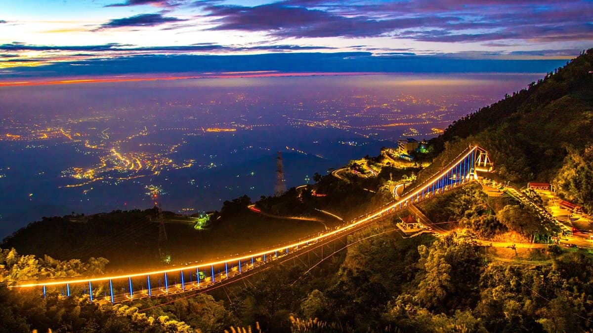 只有5天賞無敵夜景！海拔最高「太平雲梯夜間登橋」終於試營運