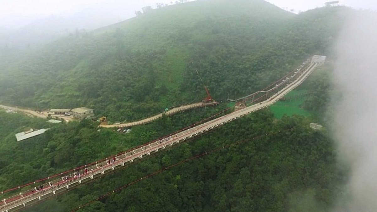 只有5天賞無敵夜景！海拔最高「太平雲梯夜間登橋」終於試營運