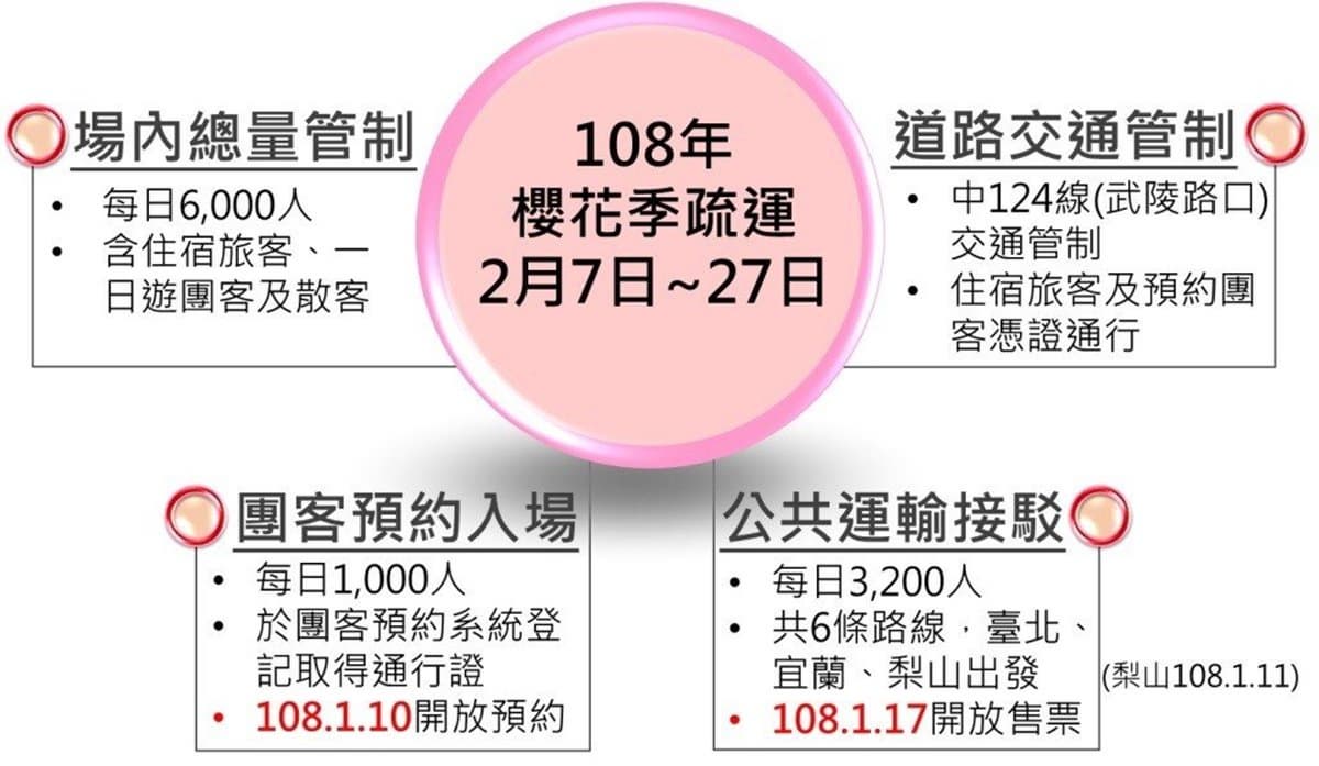 武陵農場櫻花季登場！進入園區「人數總量、交通管制」查好專車再出發