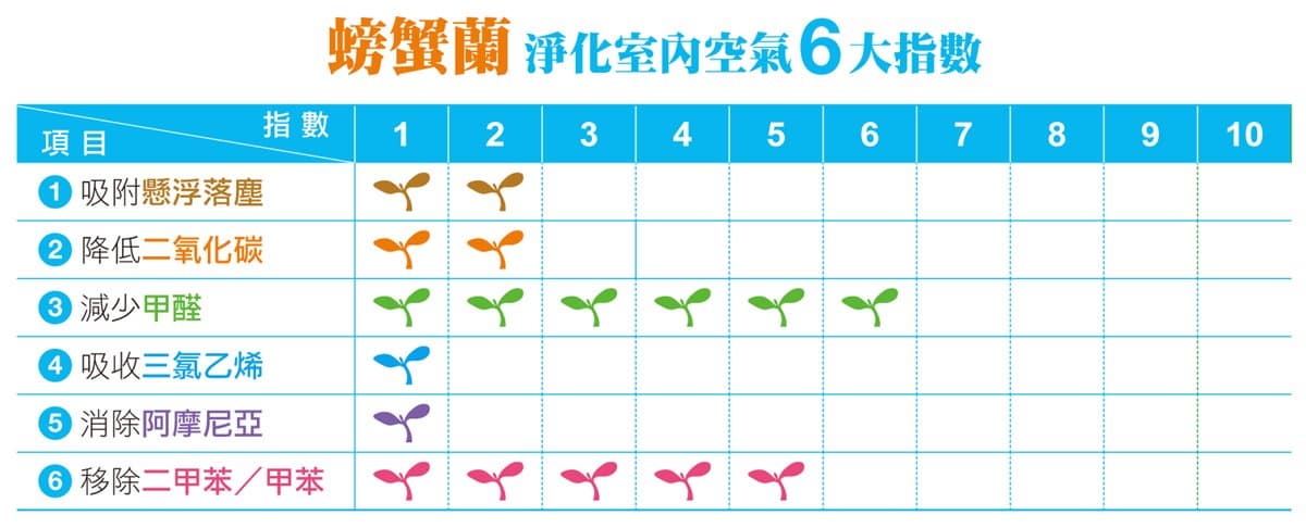 種對「這3種盆栽」！防電磁波、廁所除臭、鞋櫃防塵一次搞定
