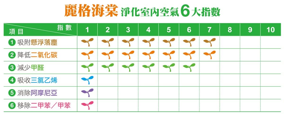 種對「這3種盆栽」！防電磁波、廁所除臭、鞋櫃防塵一次搞定