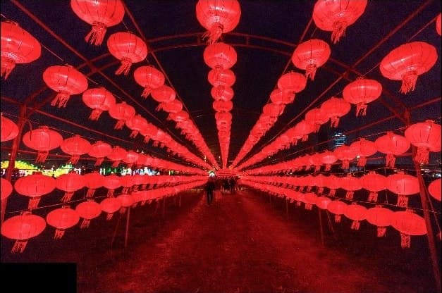 新曝光「三重燈會」  超有創意「30隻碰碰豬燈」+5大必看燈區