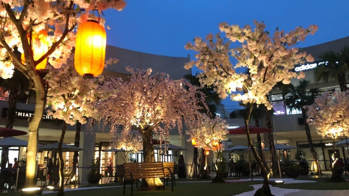 夢幻「賞櫻」打卡新點！林口美景、野餐、逛街、遊戲一次網羅