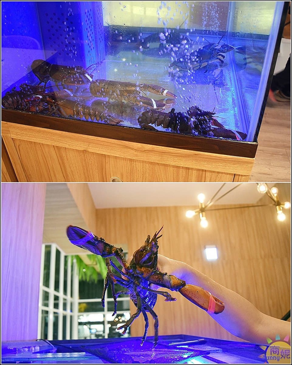 【新開店】260元就能吃！「白色馬車」網美鍋物店　柚子胡椒鍋好誘人