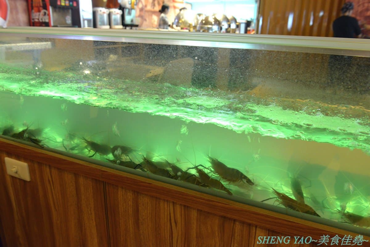 【新開店】全台最多「5水道流水蝦」在台中！夾好夾滿超霸氣