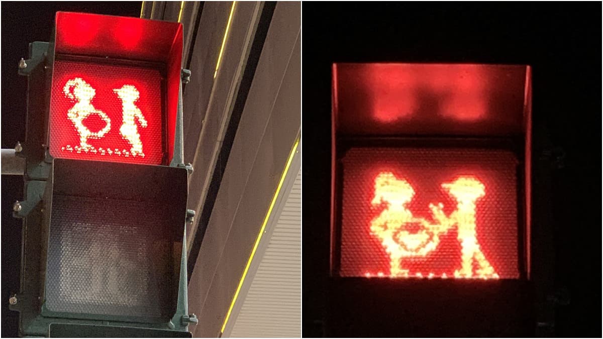 戀人打卡限定!全台最浪漫「愛情紅綠燈」 戀愛、求婚、生子好幸福 戀人打卡限定!全台最浪漫「愛情紅綠燈」 戀愛、求婚、生子好幸福