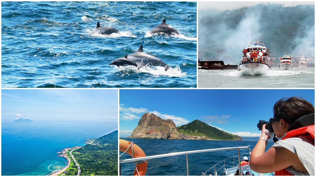 出船玩一波!3月解禁「龜山島」開放登島,賞鯨豚最佳時機趁現在 出船玩一波!3月解禁「龜山島」開放登島,賞鯨豚最佳時機趁現在