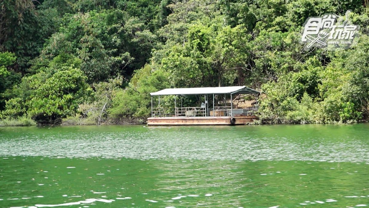 闖水庫祕境！搭船登島餵山豬，還能釣奇力魚