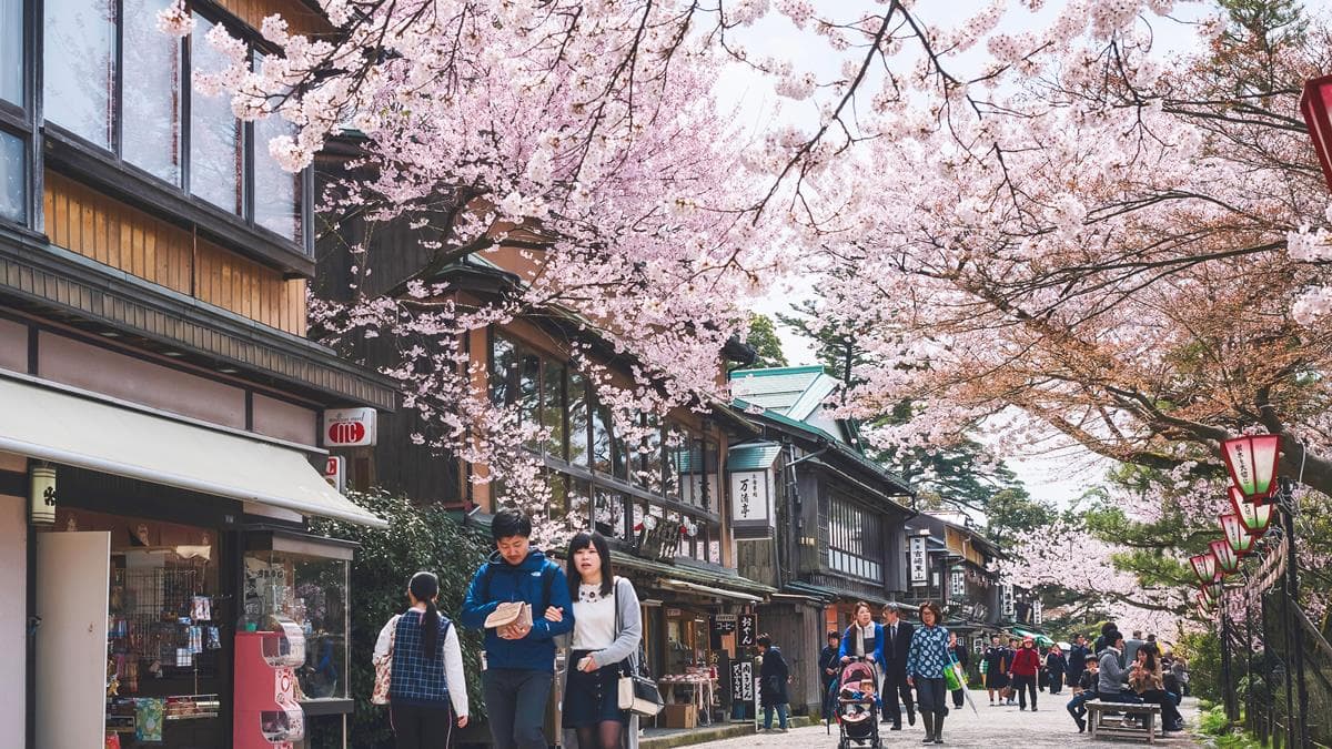 折現金出國去！日本東北「旅遊補助」20～49歲都有，最高折8000元