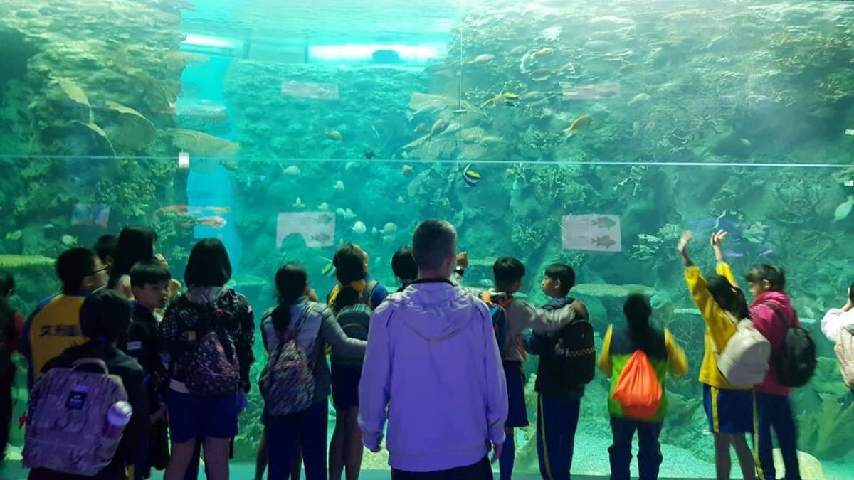 14公尺藍色海洋隧道！正式開幕「澎湖水族館」活化石小鱟寶寶可看
