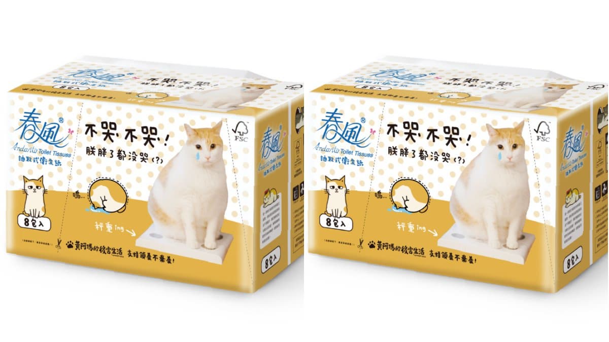 直接買一箱！全聯推83項衛生紙商品「買一送一」＋現金回饋