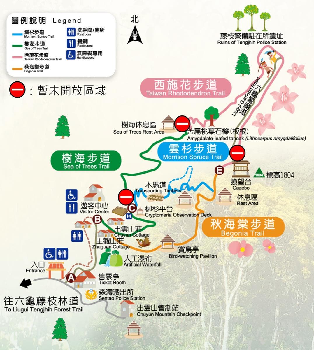 塵封10年重啟！避暑勝地「藤枝國家森林遊樂區」門票半價60元
