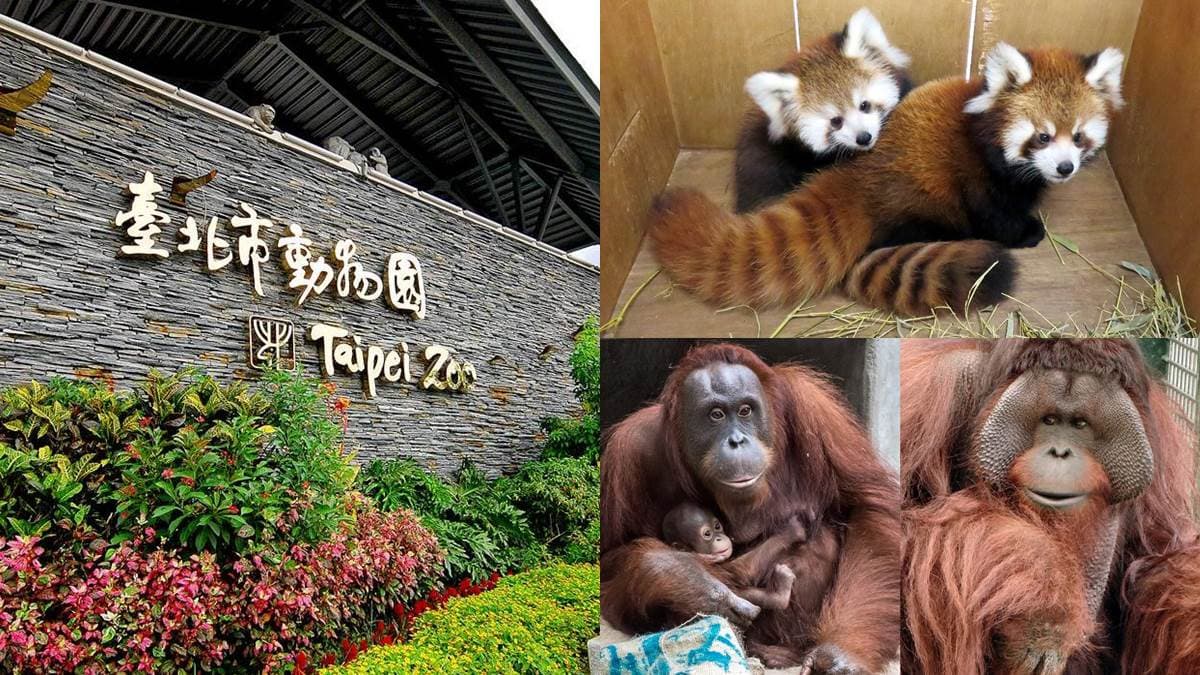 動物也是要休息der！市立動物園「這10天」不開放參觀